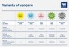 Chart titled ‘Variants of concern’. The chart shows five variants of Covid-19 (Alpha, Beta, Gamma, Delta and Omicron), when they emerged and why they are of concern.