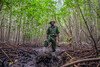 A man stands in the mud surrounded by mangroves.