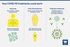 Graphic showing how antivirals, anti-inflamatories and anibodies could work against the coronavirus.