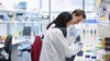 Two researchers carry out an experiment at a lab bench